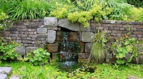 Vatten vägg fontän gröna växter trädgård