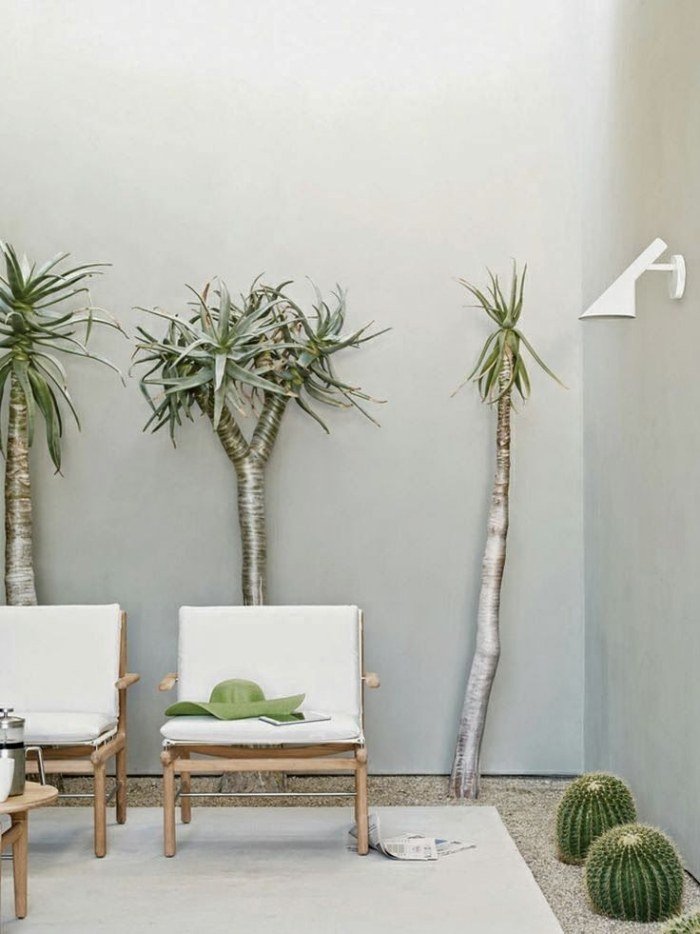idéer-för-terrass-design-minimalistiska-möbler-design-exotiska-växter