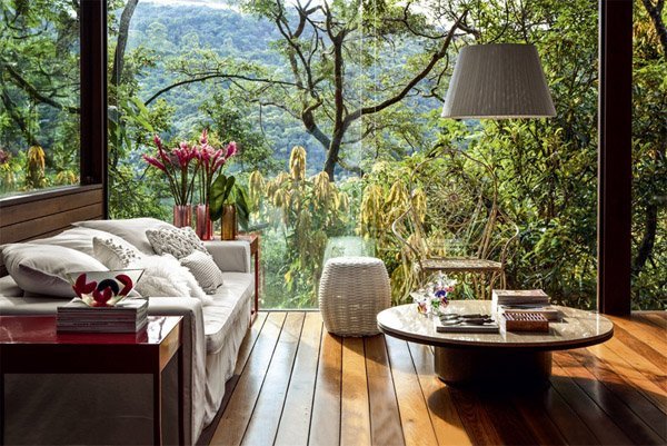 inglasad veranda trägolv tropiska växter