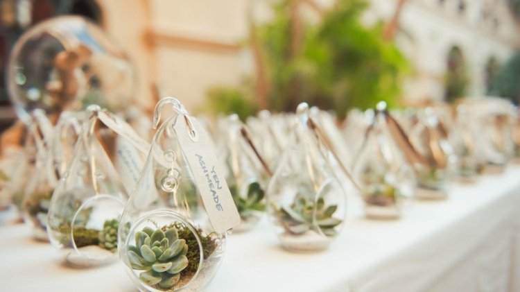 elegant bordsdekorationer fest favoriserar glas succulenter plats kort bröllop