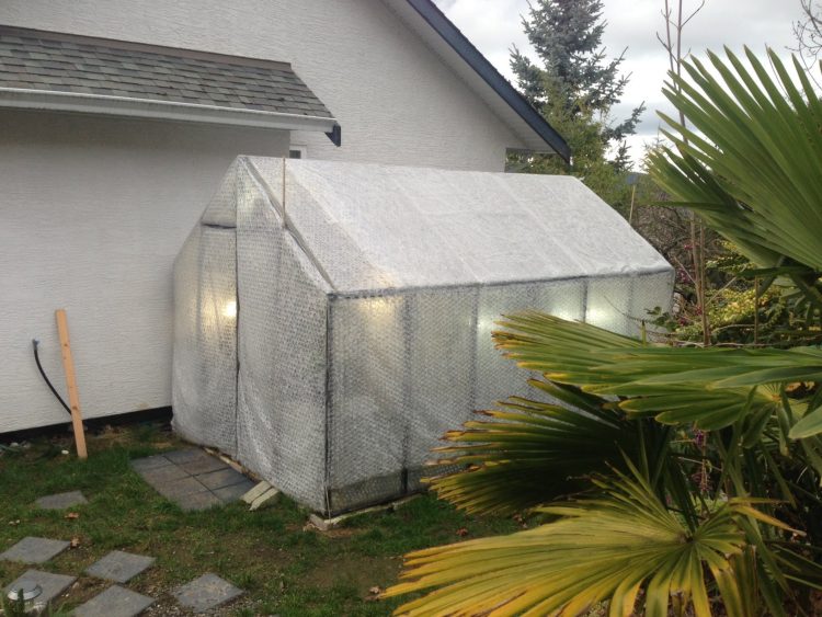 Gör idéer själv med värmeisolering av bubbelplastväxthus