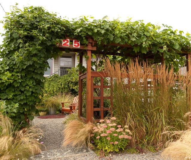 trädgårdsingång pergola klätterväxter mexikanskt fjädergräs