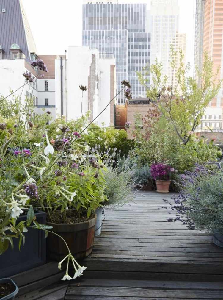 design-terrass-lantlig-stil-stad-lägenhet-växter-växt-krukor-trä-outlook