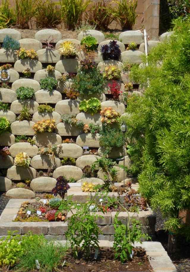 Succulenta tegelplanteringsidéer för att skapa vertikal trädgård