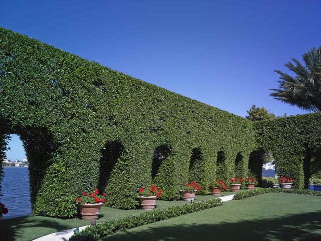 Trädgårdsdesign i italiensk stil South Florida landskap arkitektur-trädgård design livlig-häck integritetsskydd idéer terrakotta blomkrukor-Medelhavet