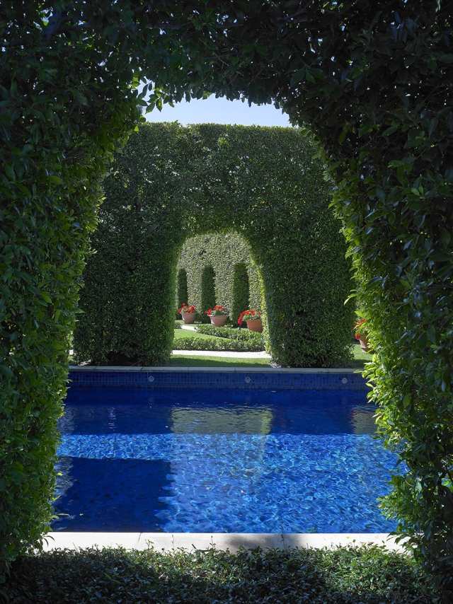 Trädgård med pool häck båge sekretess skärm levande växter