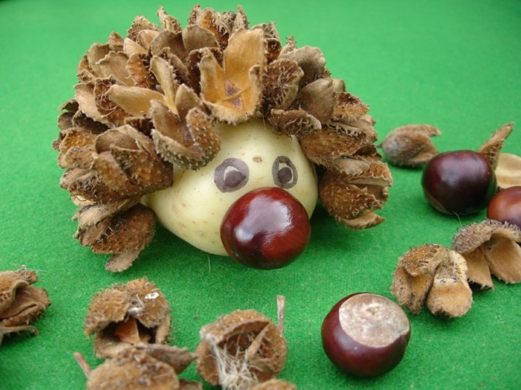 Hedgehog-tinker-beechnut-kastanj-höst-djur-tinker-idé