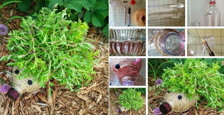 Hedgehog-tinker-flower-pot-garden-cress-instruktioner-gör det själv
