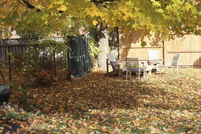 Trädgård i oktober arbete-vad-finns-att-göra