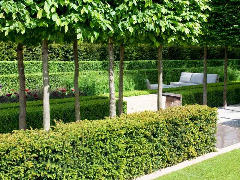 Häckskuren formell-trädgård-design-vintergröna växter