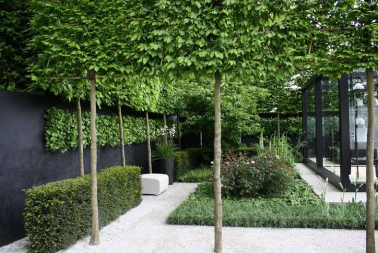 Vintergröna-växter-modern-trädgård-design-murgröna