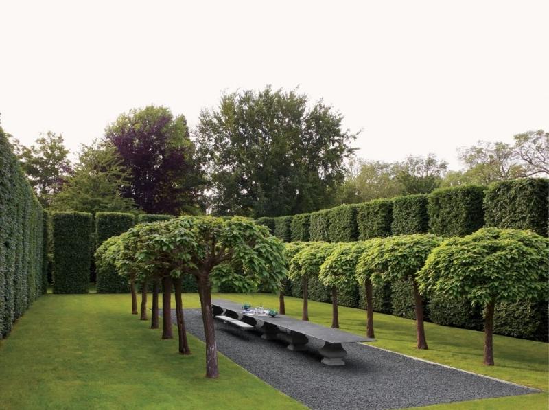 Evergreen-plants-tall-hedge-design