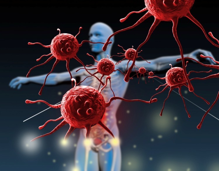 Virus angriper människokroppens immunsystemreaktion