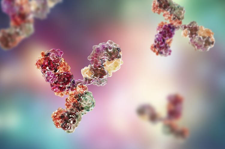 makrofager bakterier bygger immunsystemet förstår immunitet definition
