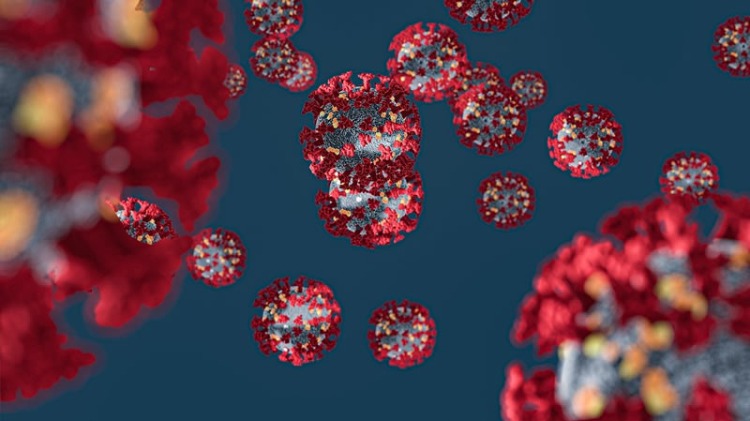 immunsvar covid-19 förhindrar infektion med coronavirus