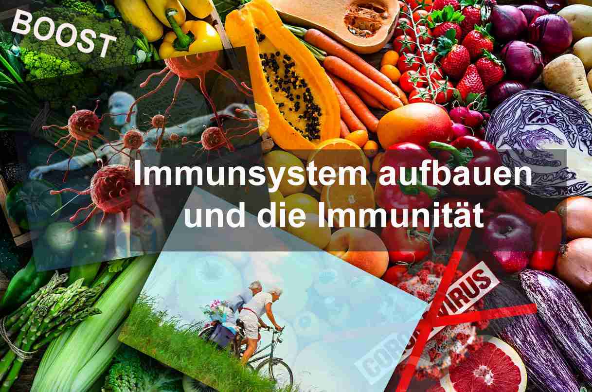 Bygga immunsystemet och förstå immunitetsdefinitionen - en översikt
