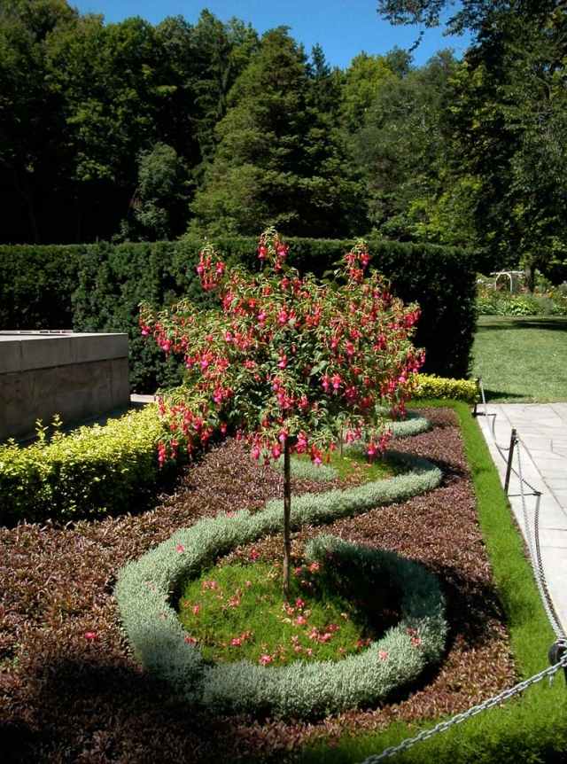 modern trädgård design blommor växter mönster träd