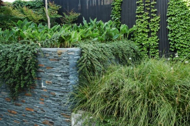 textur trädgård skiffer sten vägg dekoration gräs växter