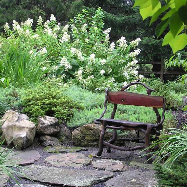 design modern trädgård design växt typer stegsten bänk