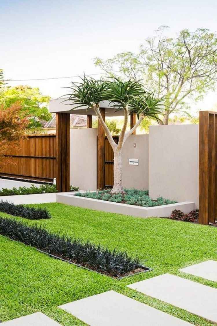 främre trädgård-design-landskapsarkitektur-modern-minimalistisk-träd-gräsmatta