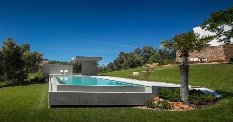 pool betong infinity stil palm träd modern trädgård design
