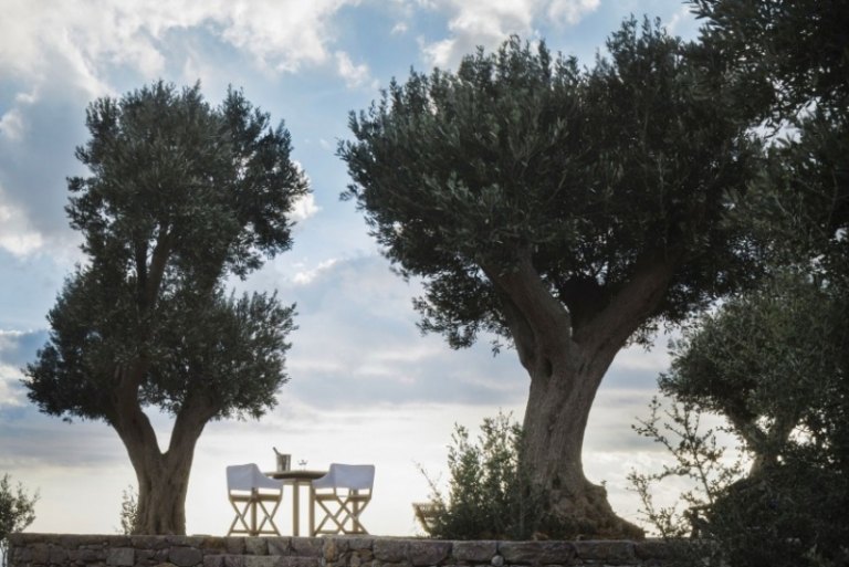 infinity-pool-havsutsikt-olivträd-romantik-hopfällbara-stolar-bord