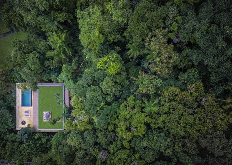 Pool på terrass-hus-djungel-brasilien-grönt tak
