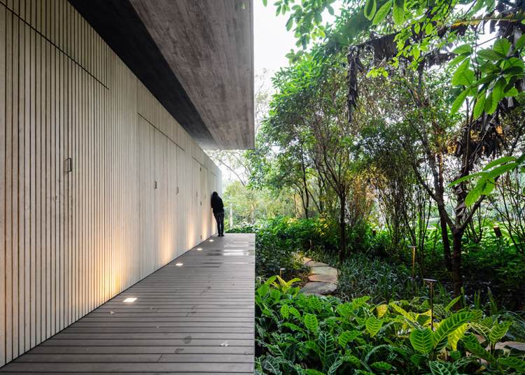 infinty-pool-terrass-hus-djungel-brasilien-natur-utomhus