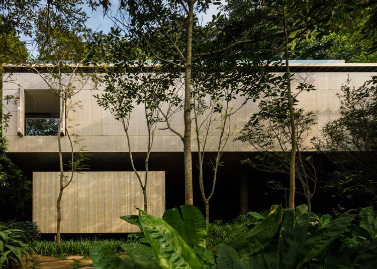 modern-betong-hus-takterrass-djungel-brasilien-arkitektur-minimalistisk