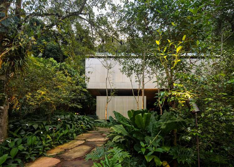 modern-betong-hus-djungel-brasilien-växter-arkitektur