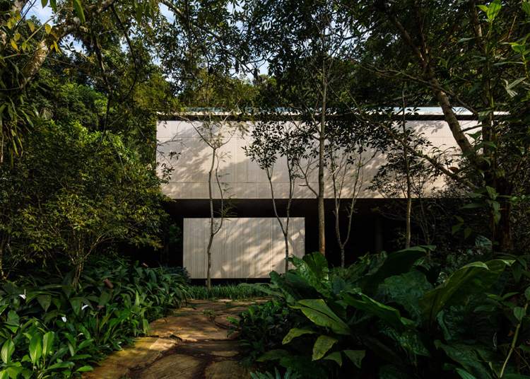 terrass-hus-betong-minimalistisk-djungel-brasilien-tropisk skog