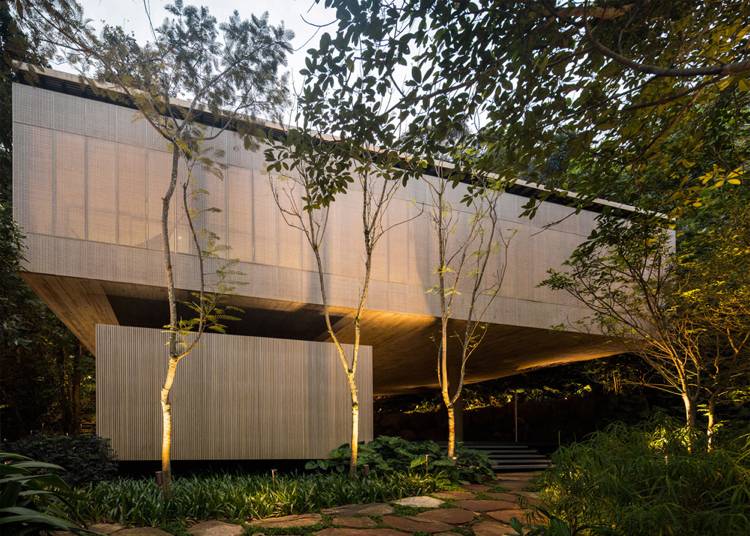 modern-arkitektur-hus-djungel-brasilien-natur-belysning