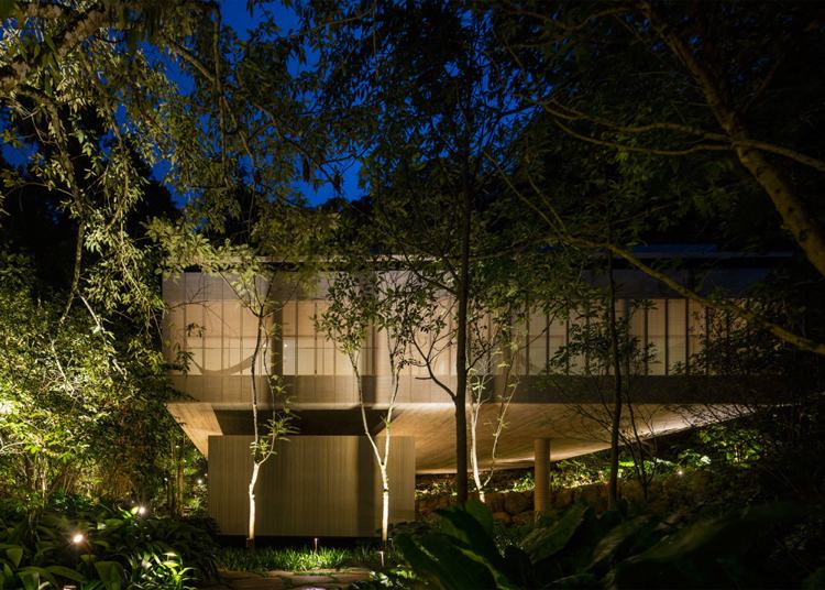 modernt hus-takterrass-djungel-brasilien-djungelbelysning