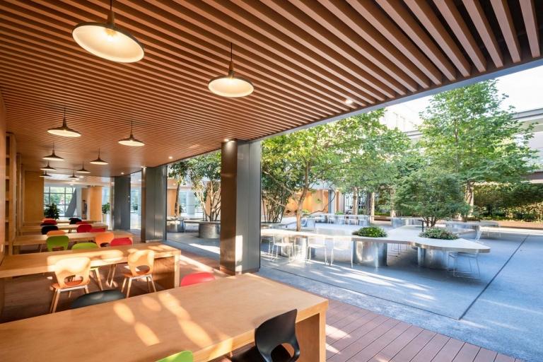 Inre innergård design trä tak akustik klassrum