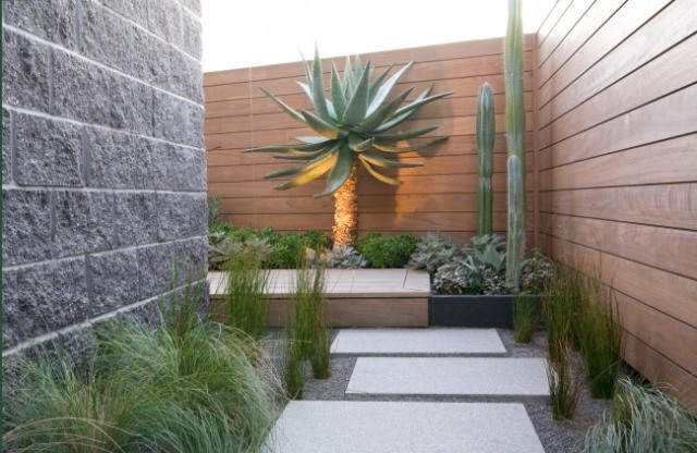 modern innergård design-trädgård väg sten integritet skärm frodiga växter