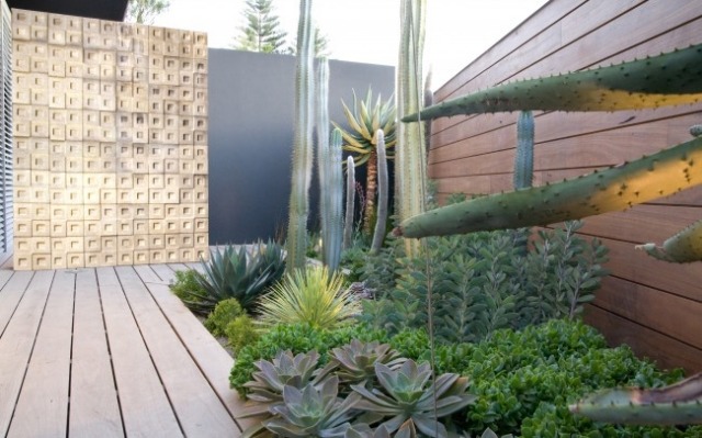 urban zen trädgård på australiens kust golvläggning med träplankor lagt design