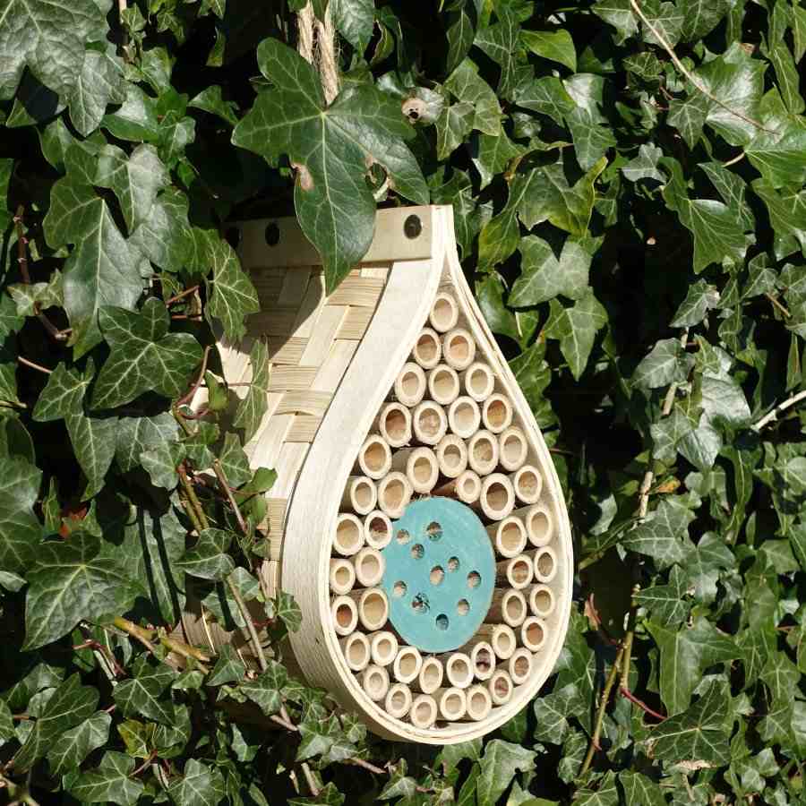 Insekthotell bin bygger öppningar murgröna solen hänga upp