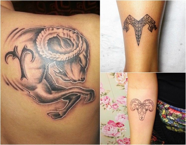Stjärntatuering tatuering väduren-symboler-djur-styrka-axelblad-underarm-kalv