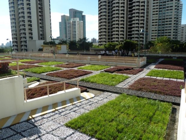 omfattande grönt tak-storstad hållbar arkitektur skyline