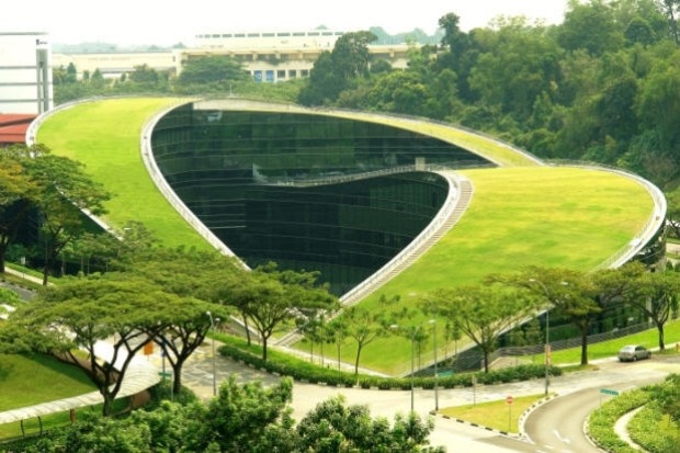 omfattande gröna tak, hållbara arkitekturtrender