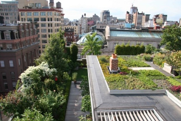 intensiva omfattande gröna tak - modern stadsbild