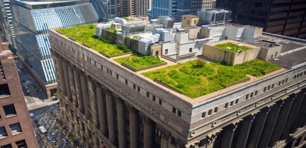 Chicago hållbar trend för grönt tak