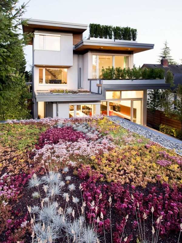 Omfattande grönt tak-på garage-hållbart hus