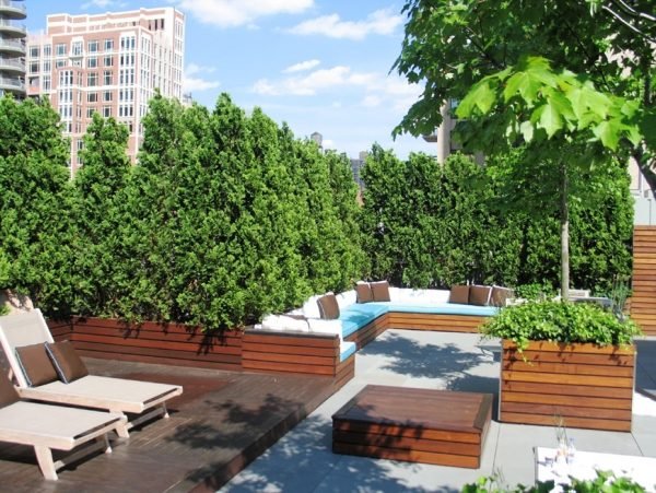 Växter för gröna tak Woods Lounge trädgårdsmöbler