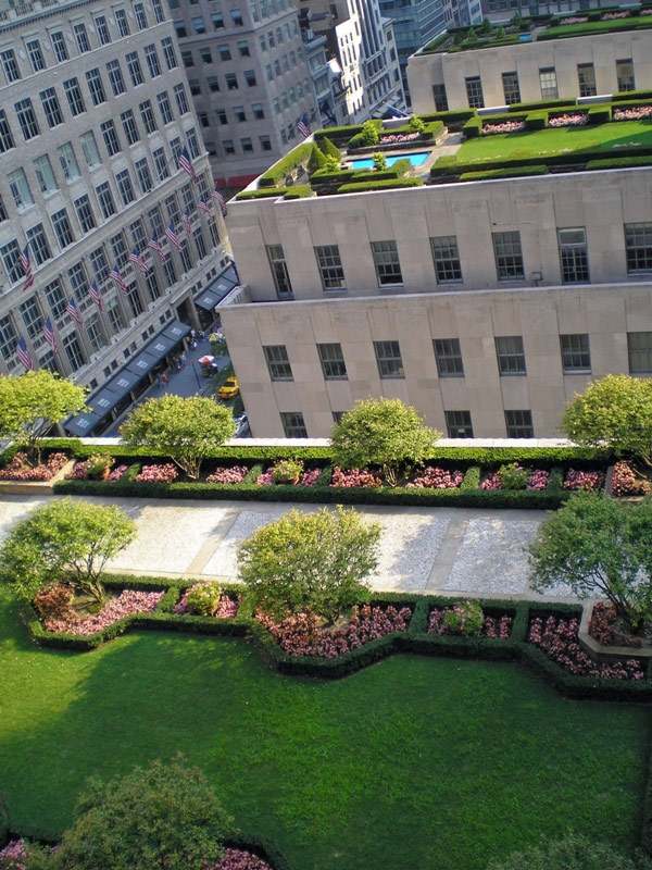 Gröna tak, gräsmattor - fördelar Att utforma ett urbana landskap