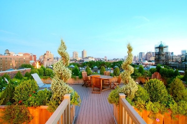 Takträdgård tak grönning-hållbar arkitektur