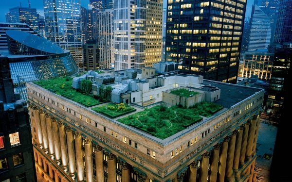 Platt tak som förgrönar omfattande skyskrapa