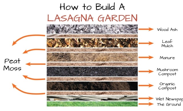 Idé för trädgårdsdesign överväga viktig information lasagne
