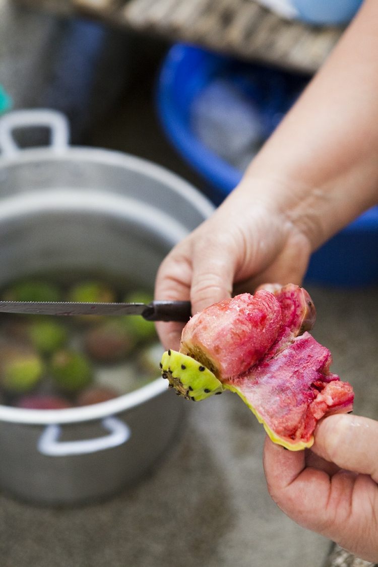 Hur man förbereder Prickly Pear Tips Lågkalorifrukter går ner i vikt