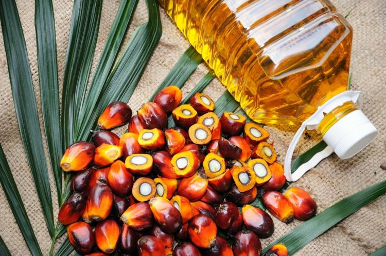 Palmolja ohälsosam eller inte - vad den används till och hälsoeffekter